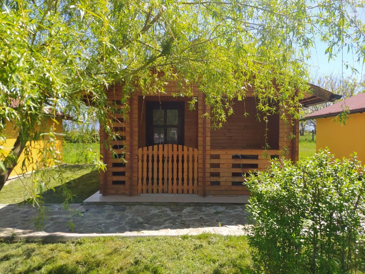 Hanul Arcasului Villa Voila Eksteriør bilde
